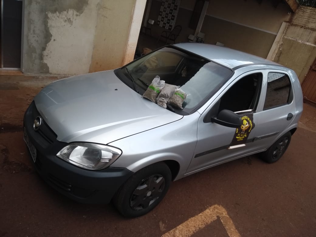 Homem transportando Skank foi preso pelo DOF na região de Ponta Porã