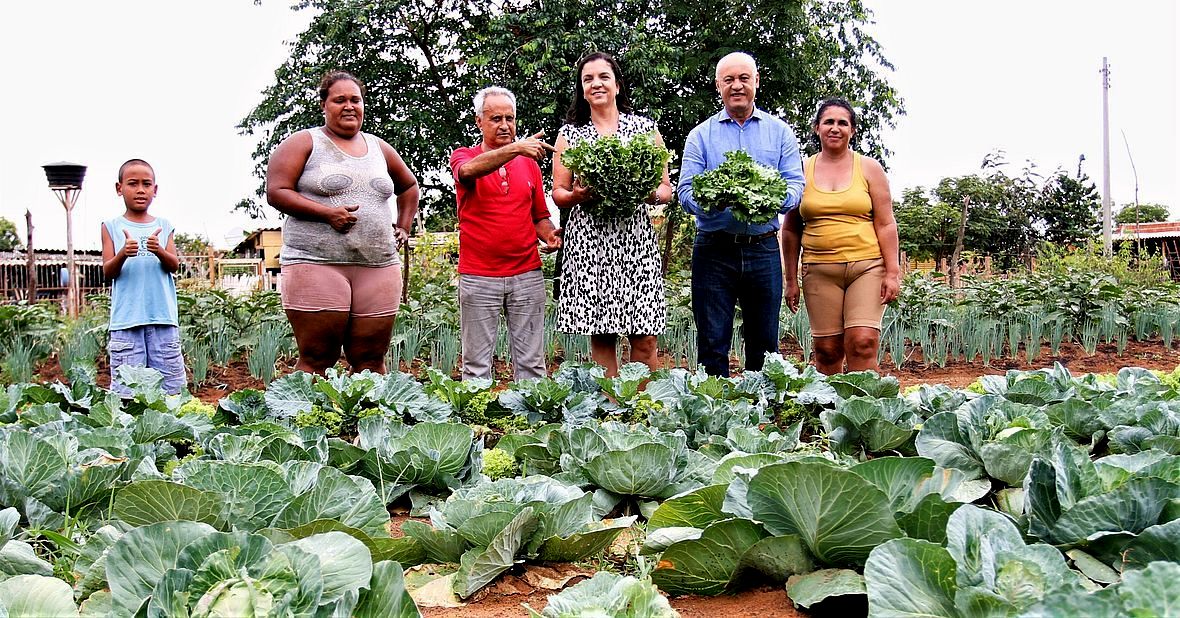Famílias pioneiras do Projeto Hortas Urbanas já comercializam hortaliças