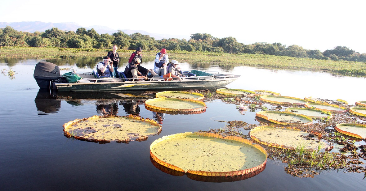 Portaria do ICMBio reduz área de pesca esportiva e comercial no entorno do Parque do Pantanal