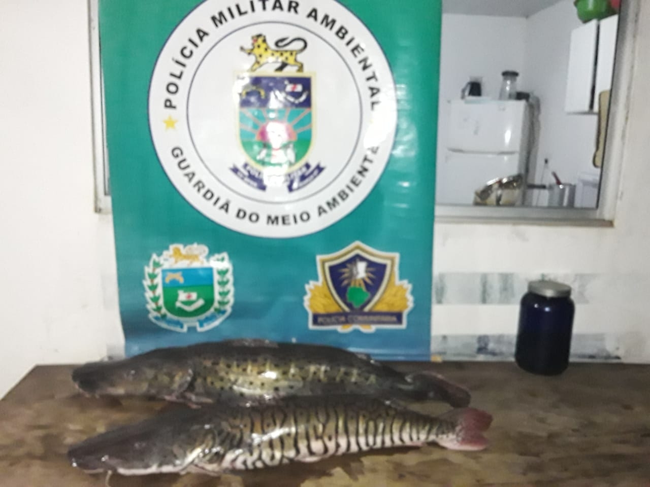 Funileiro é multado em R$ 1,3 mil com pescado capturado com rede, acima da cota e em piracema
