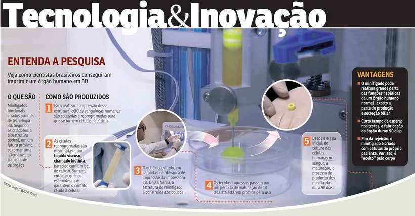 Tecnologia brasileira, os minifígados são impressos em 3D