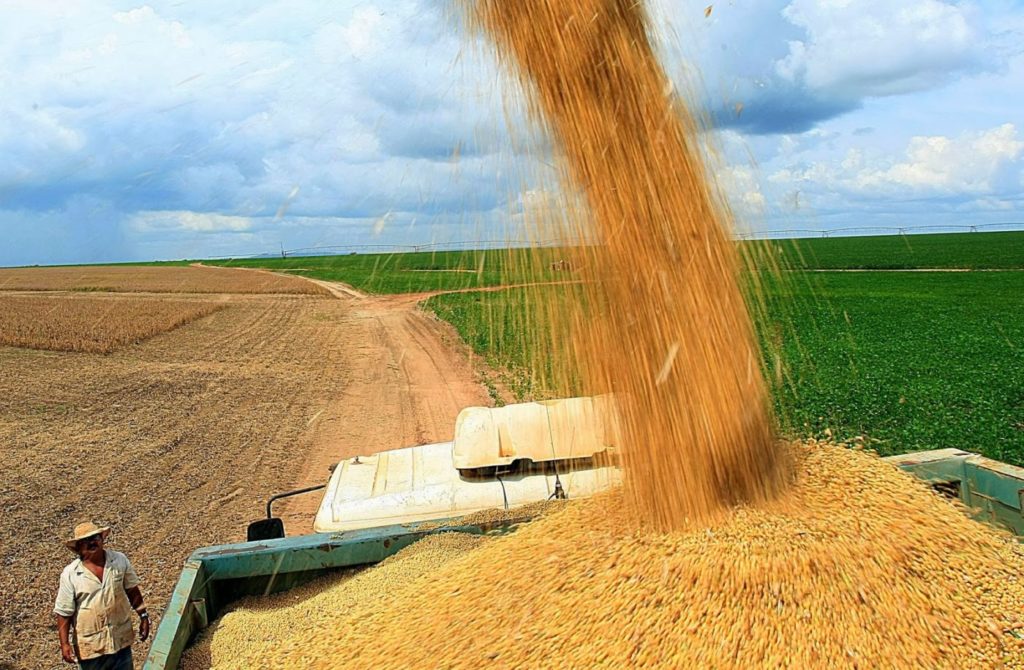 Brasil começa a colher a maior colheita de soja já registrada no mundo!
