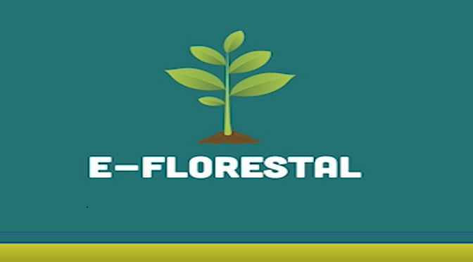 Com assinatura digital, Imasul conclui modernização do Licenciamento Florestal e Hídrico