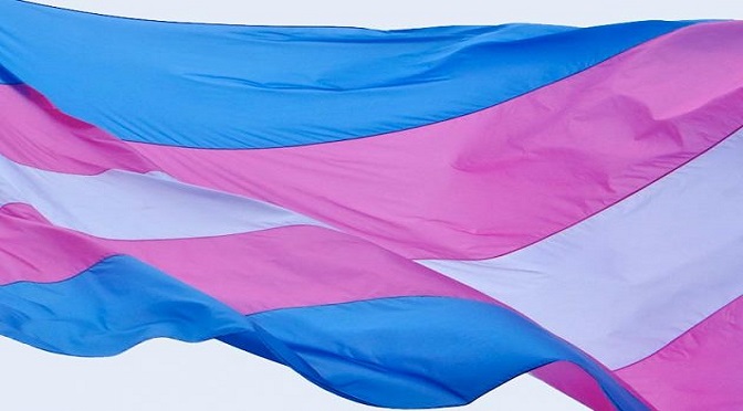 Dia da Visibilidade Trans marca a luta e os direitos de pessoas travestis e transexuais