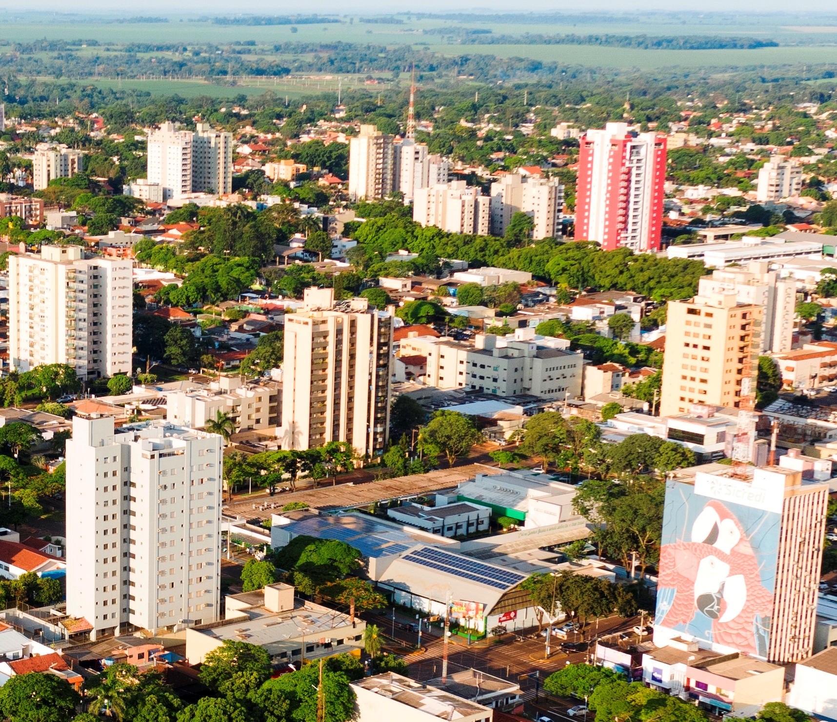 Dourados está entre as cidades que mais geraram empregos no Brasil em 2019
