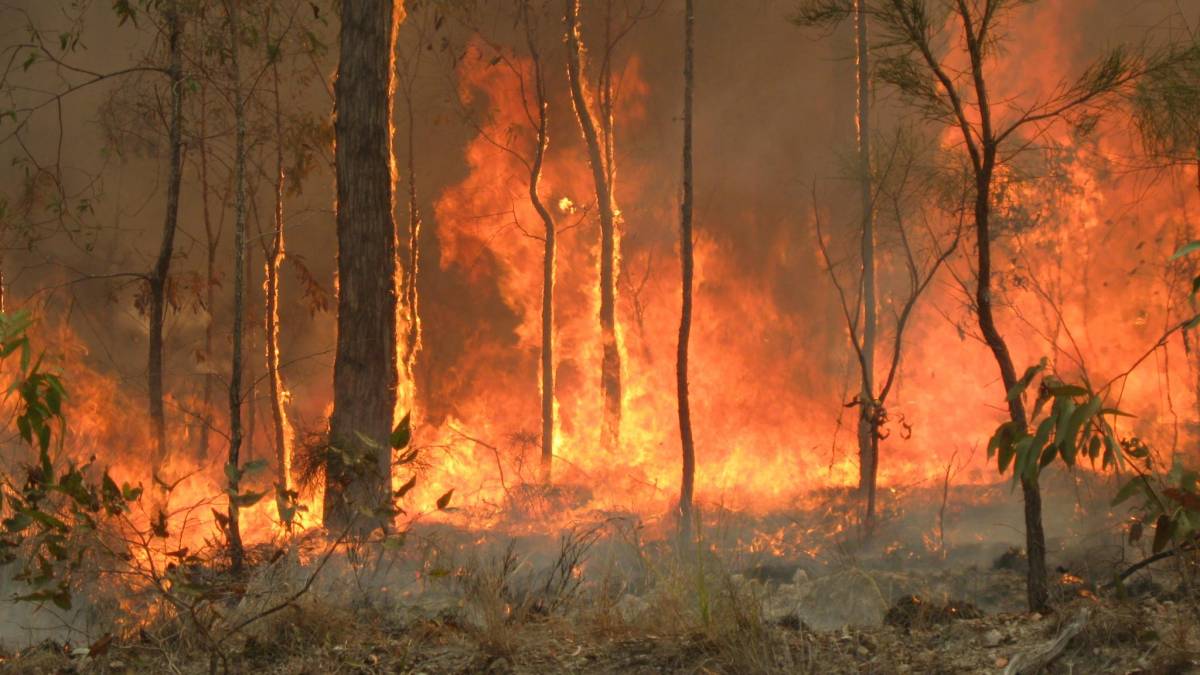 Incêndios na Austrália podem mudar o clima em todo o mundo
