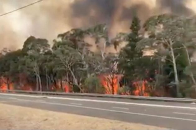 Incêndios florestais na Austrália já mataram pelo menos 25 pessoas e milhões de animais