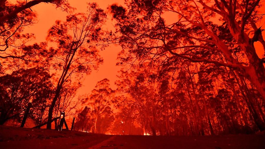Número de mortos em incêndios na Austrália sobe para 24