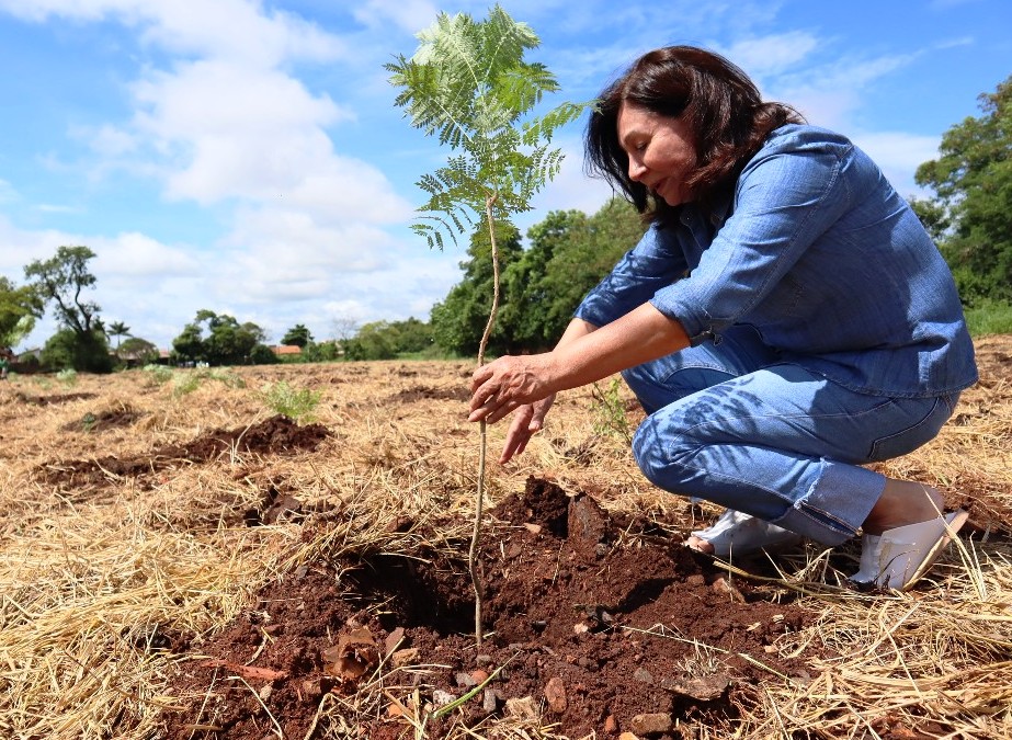 Plantio de 1700 árvores garante a preservação de área de proteção ambiental em Dourados