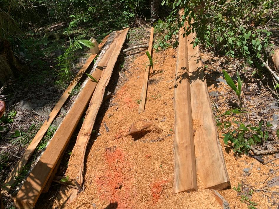 Polícia Militar Ambiental de Miranda autua infrator em R$ 7,5 mil por exploração de madeira em área protegida de mata ciliar e uso de motosserra ilegal