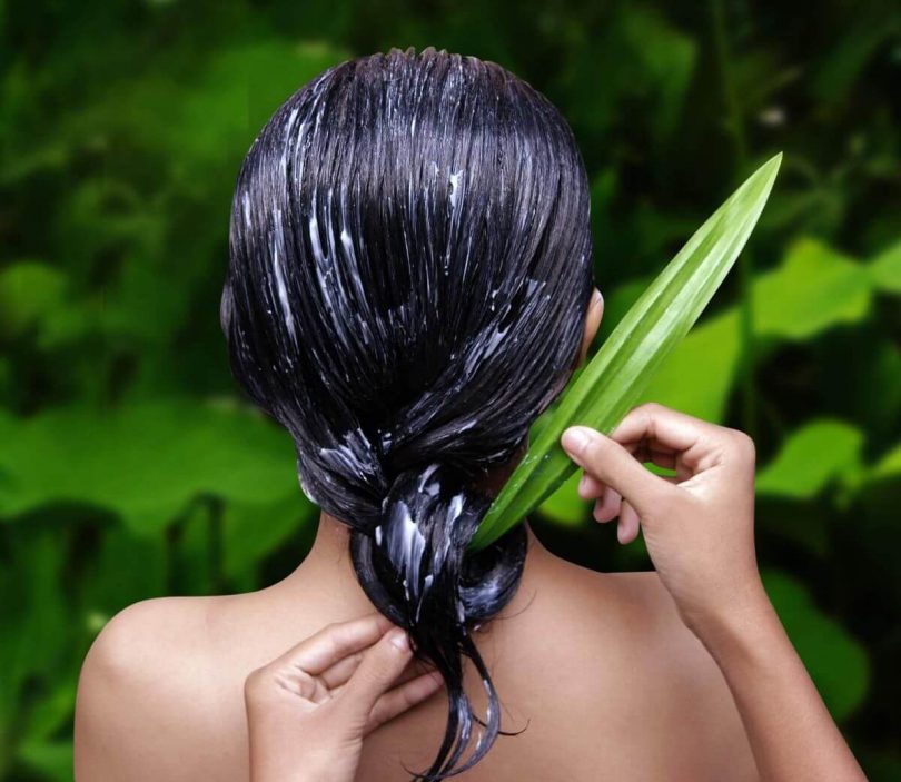 Babosa no cabelo: benefícios, como usar nos fios e receitas