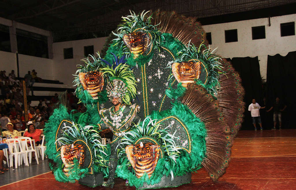 Desfile de Fantasias revive magia e mantém tradição no Carnaval de Corumbá