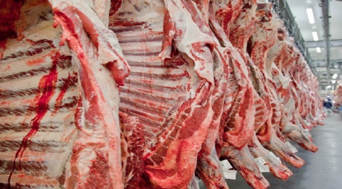 Reabertura dos EUA para carne in natura brasileira é oportunidade para pecuária de MS