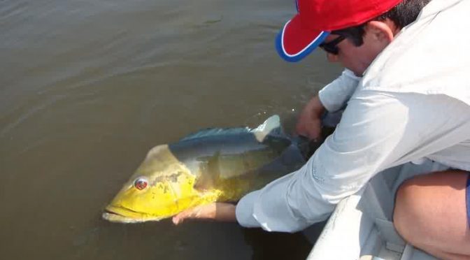 Dourados: Prefeitura libera pesca no Parque do Lago no feriado do Trabalhador