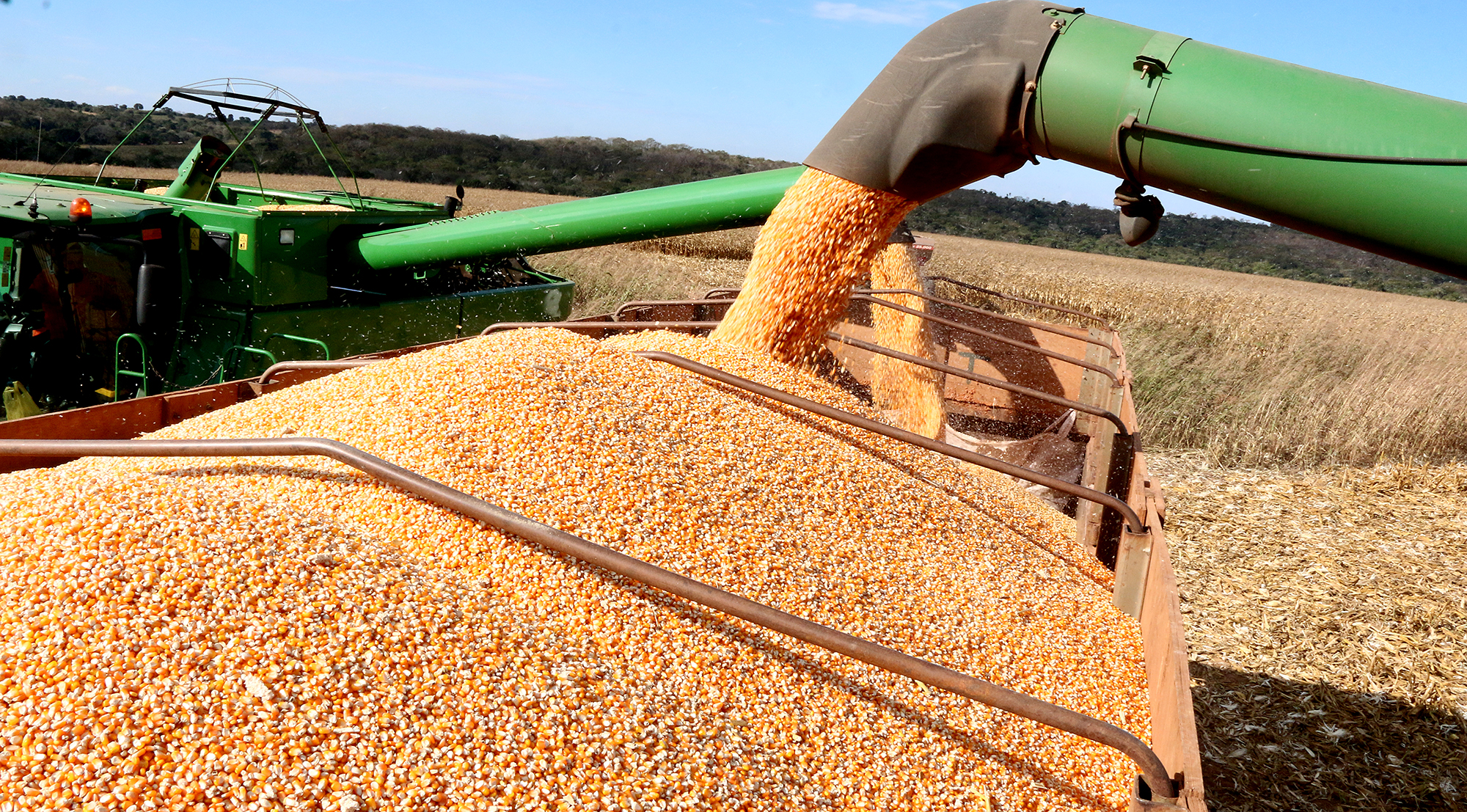 Mato Grosso do Sul tem a 5ª maior produção de grãos do país, com 19,9 milhões de toneladas