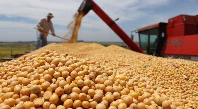 Colheita de soja atinge 31% da área no Brasil, diz AgRural