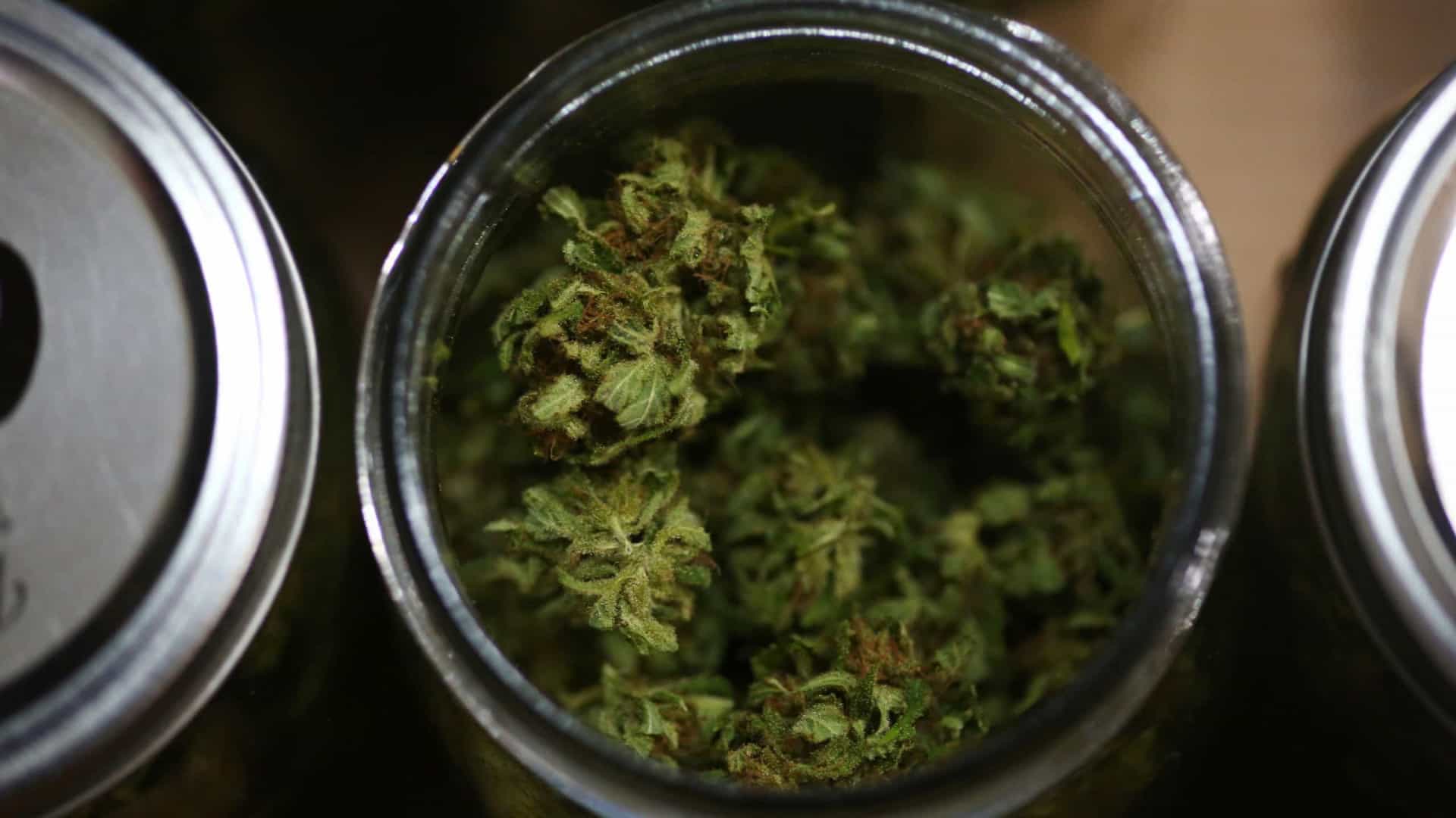 Província canadense classifica Cannabis como ‘essencial’