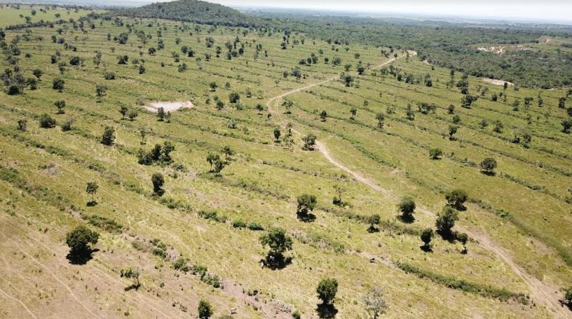 PMA autua infrator por desmatamento ilegal de parte em área protegida