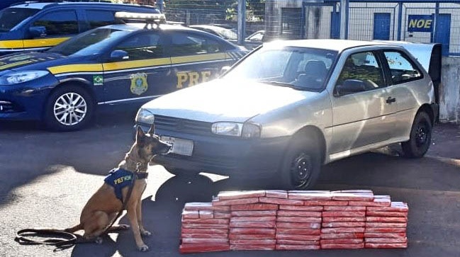Cães encontram droga escondida em veículo e PRF apreende 72 Kg de maconha em Campo Grande