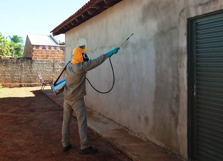 Brasilândia: Prefeitura realiza trabalho de combate ao mosquito transmissor da Leishmaniose