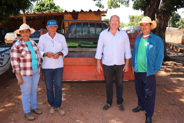 Corguinho: Prefeitura impulsiona produção de hortaliças da agricultura familiar