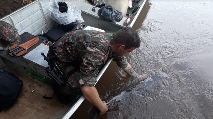 PMA autua infrator por pesca ilegal no rio Aquidauana e solta pintado de 8 kg capturado ilegalmente