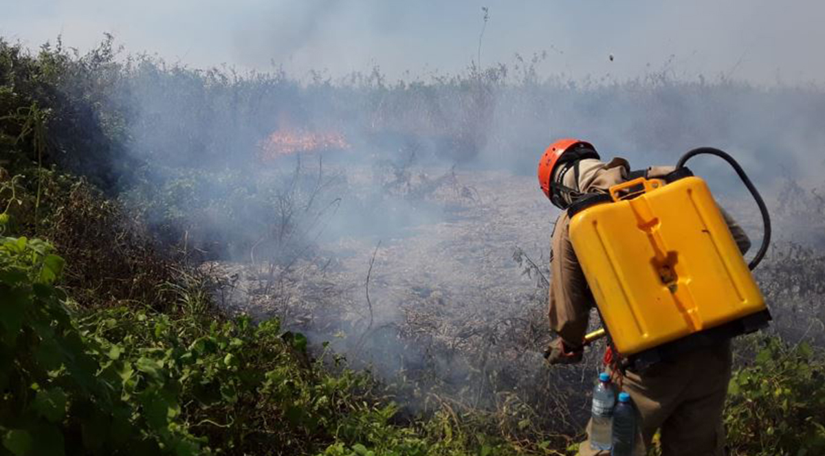 Força-tarefa controla queimadas no Pantanal, mas alta temperatura e baixa umidade do ar preocupam