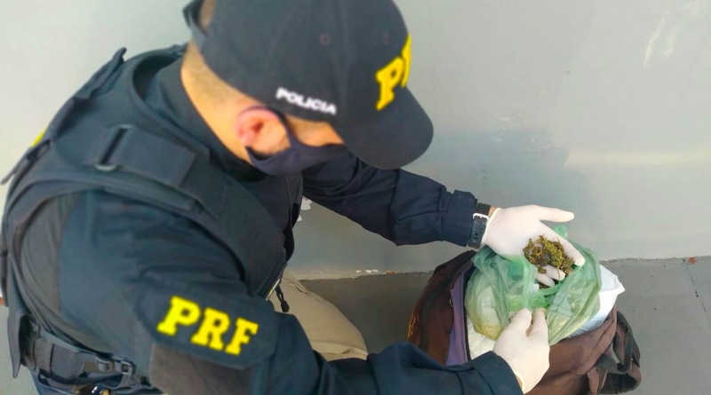 Transportando flores da maconha mulher é presa pela PRF em Bandeirantes