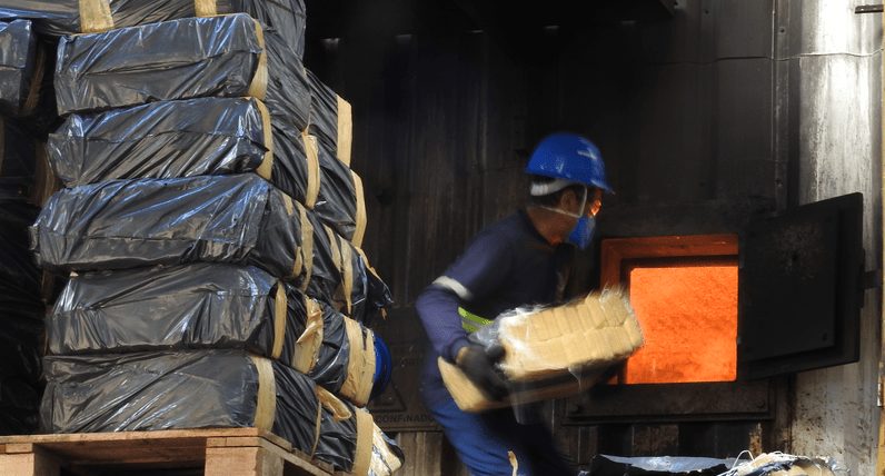 PF e Força Nacional incineram 24 toneladas de maconha apreendidas em MS