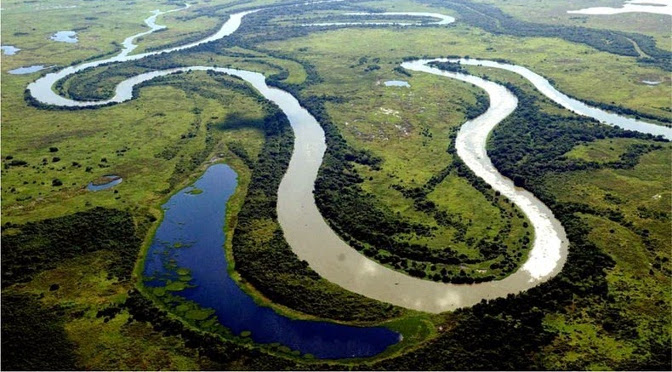 Lei sancionada pelo governador define 12 de novembro como Dia do Pantanal