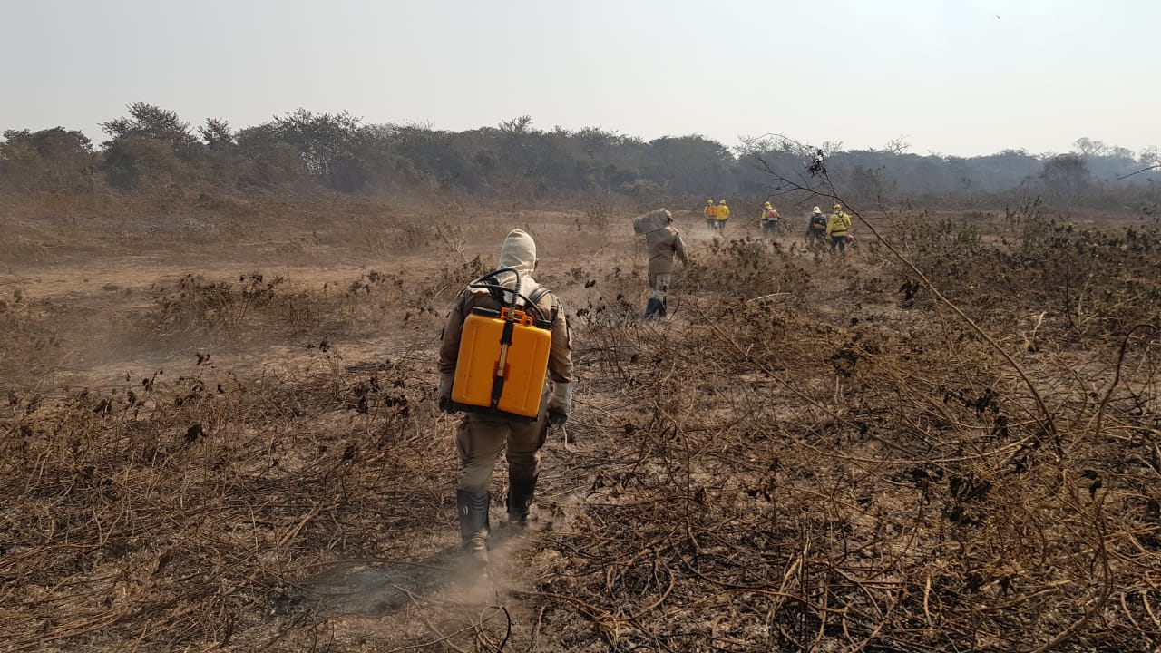 Bombeiros e Prevfogo do Ibama na luta diária no combate aos incêndios florestais no Pantanal de MS