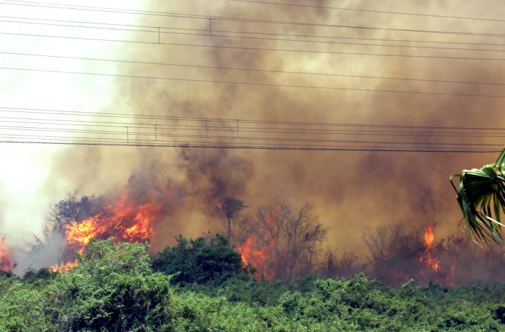 Governador decreta estado de emergência no Pantanal devido incêndios