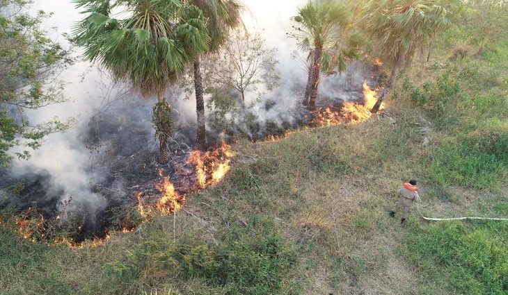 Consumidas pelo fogo no Pantanal, novas pontes de madeira serão entregues em 120 dias