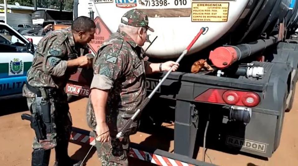 PMA captura tamanduá-mirim entre chassi e carreta tanque de transporte de combustível