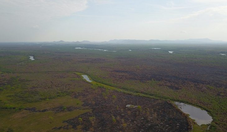 Chuva ajuda a controlar incêndios no Pantanal, mas equipes continuam alertas