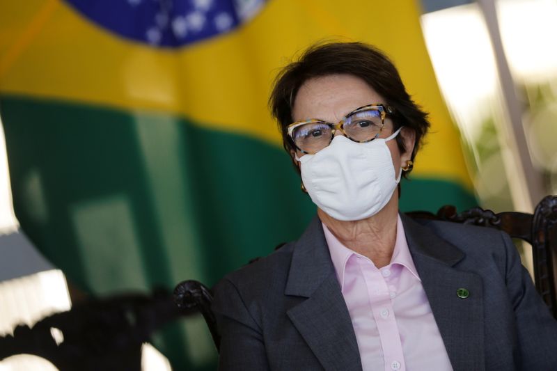 Ministra defende juro ‘quase zero’ a produtor sustentável da Amazônia