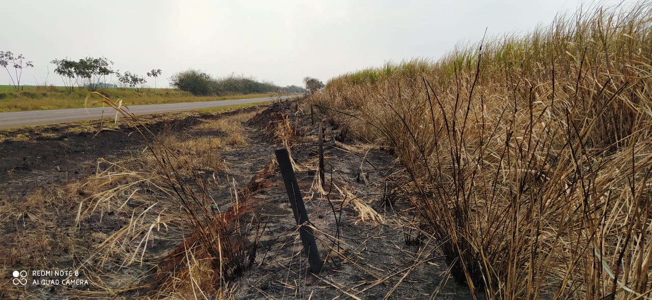 Polícia Militar Ambiental de Dourados autua campo-grandense dono de plantação de cana em R$ 132 mil por incêndio em sua lavoura