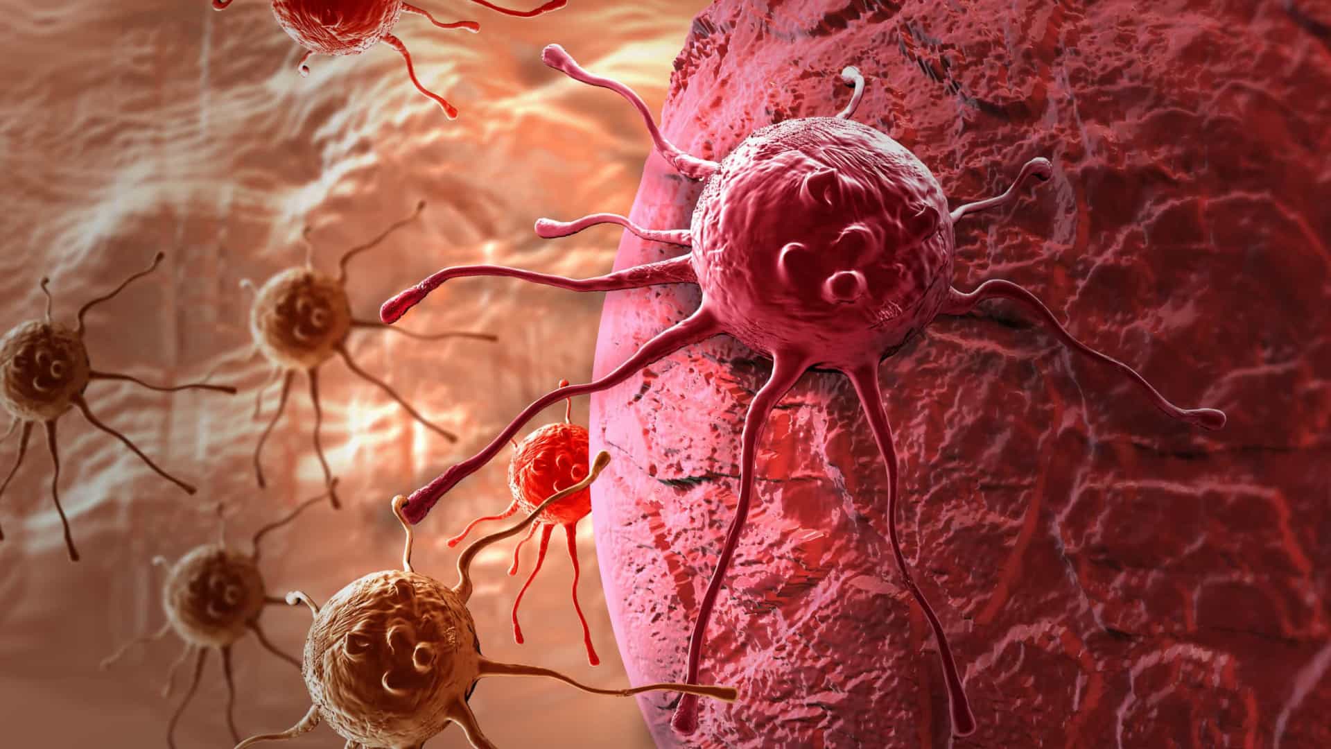 Todos nós temos células cancerígenas no corpo?