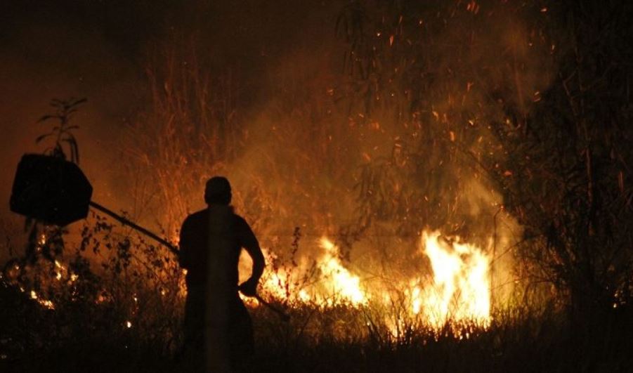 Pantanal: o Patrimônio Natural da Humanidade que arde em chamas