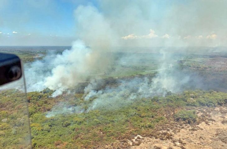 Operação Pantanal amplia ações e reforça combate aos incêndios em MT