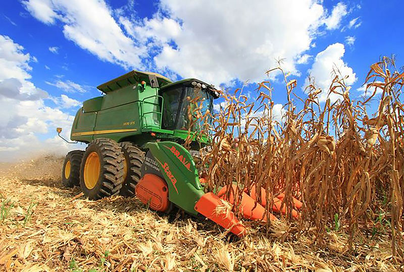 Tempo seco e quente ajuda e MS deve concluir colheita do milho na próxima semana