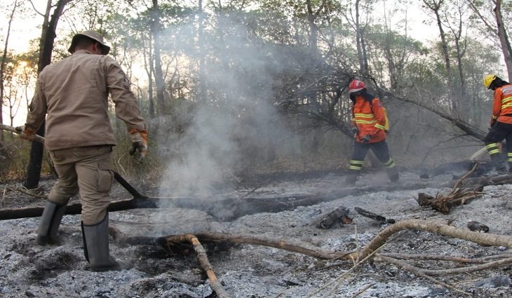 Governo reduz focos de incêndio no Pantanal de MS e controla fogo no Parque Estadual do Taquari