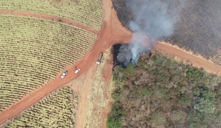 Operação Focus vistoria propriedades no Pantanal da Nhecolândia e Nabileque para identificar origem das queimadas