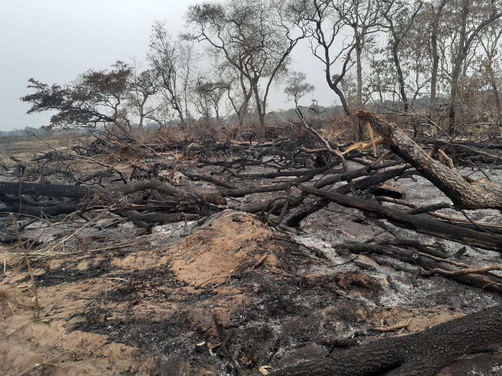 Polícia Militar Ambiental de Aquidauana flagra incêndio em madeira em leiras que se alastrou para pastagem no Pantanal do Rio Negro e autua infratora em R$ 56 mil