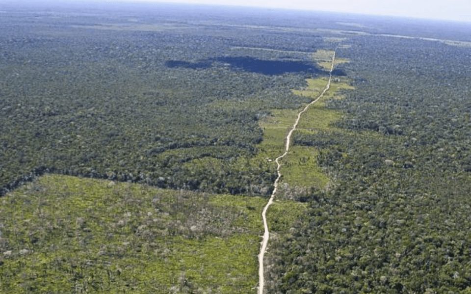 Desmatamento na Amazônia é conto do vigário em escala planetária