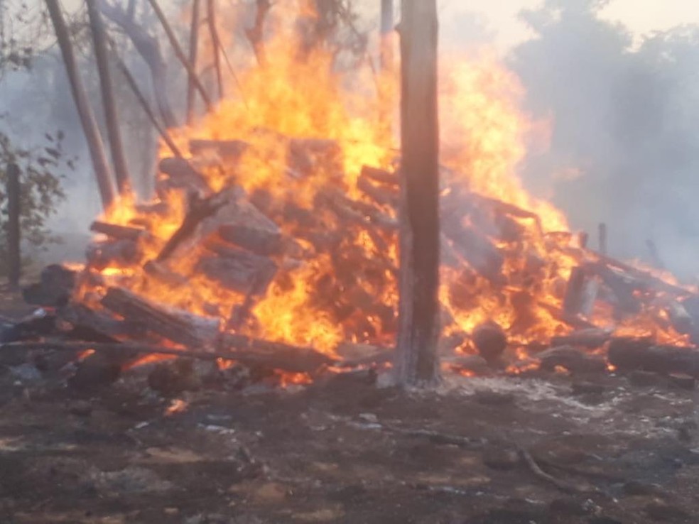 Fogo atinge 5 fazendas e reserva ecológica na região Norte de MT no mesmo dia e bombeiros recebem ajuda para combater as chamas