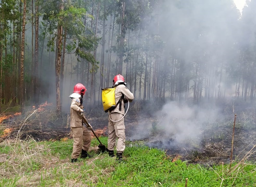 Governo federal decreta situação de emergência devido aos incêndios florestais em MT