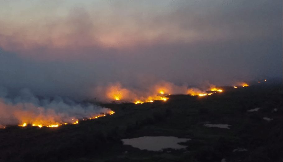 ALEMS reúne Governo e entidades para discutir soluções contra queimadas no Pantanal