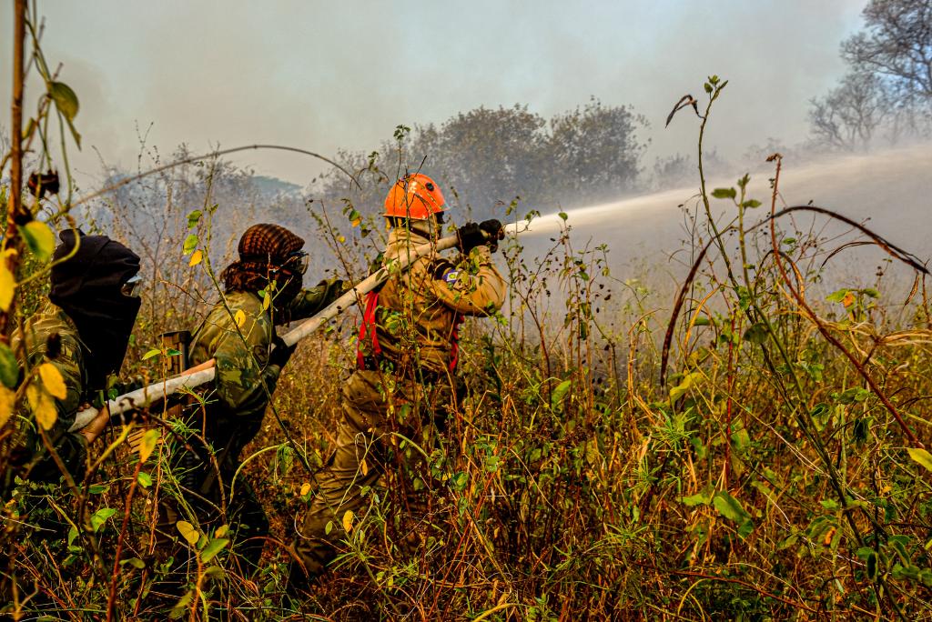 Corpo de Bombeiros intensifica ações de combate ao fogo no Parque Encontro das Águas