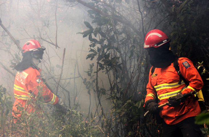 Incêndios continuam controlados em MS com atuação de 340 pessoas e esforço coletivo